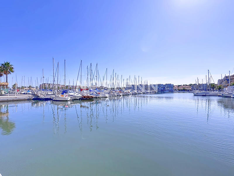 Appartement - 82 m² - 5 pièces