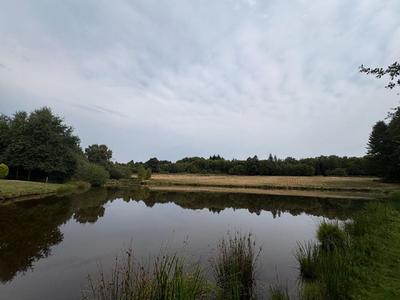 Terrain - 72 467 m²