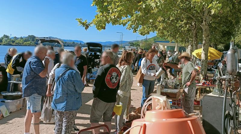 Les puces de la voulte