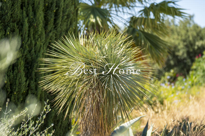 Maison - 190 m² - 7 pièces