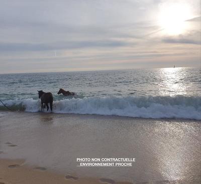 Terrain de loisirs - 1 200 m²