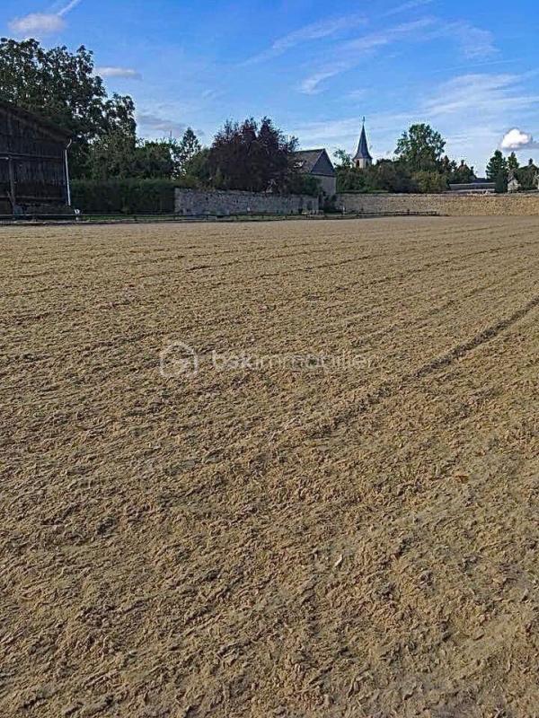 Maison de domaine équestre - 175 m² - 8 pièces