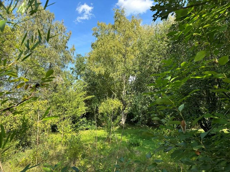 Terrain constructible - 1 000 m²