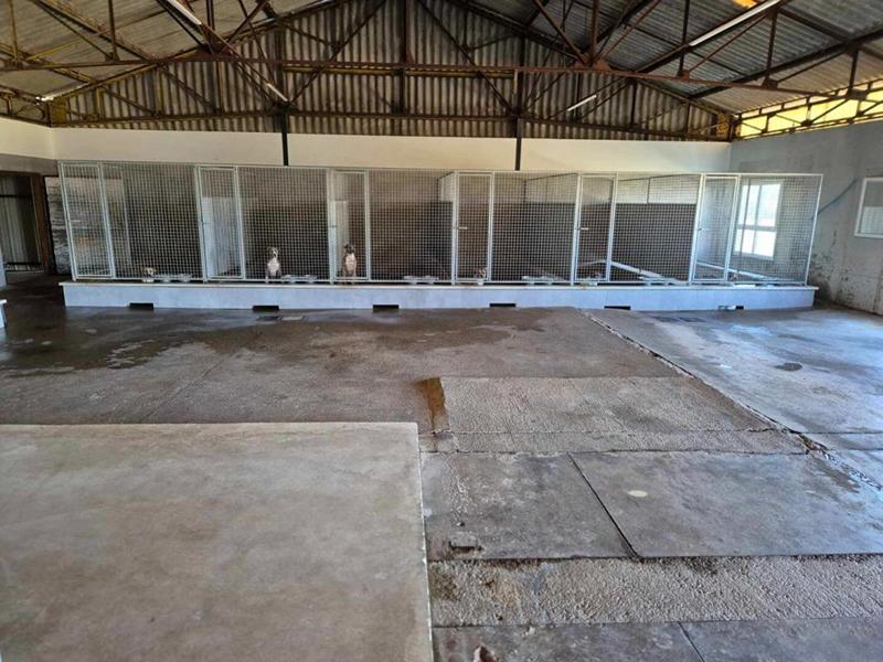 Maison - 250 m² - 6 pièces