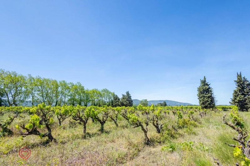 Propriété - 530 m² - 23 pièces