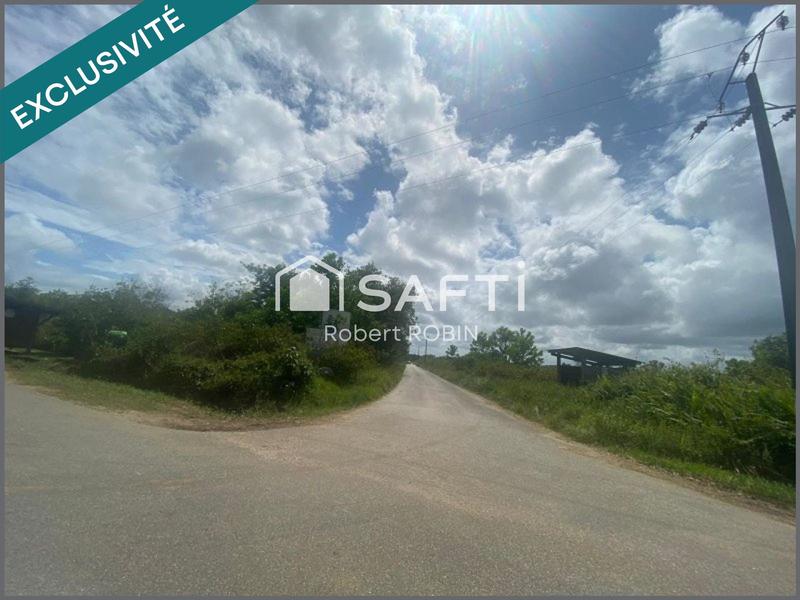 Terrain - 11 467 m²