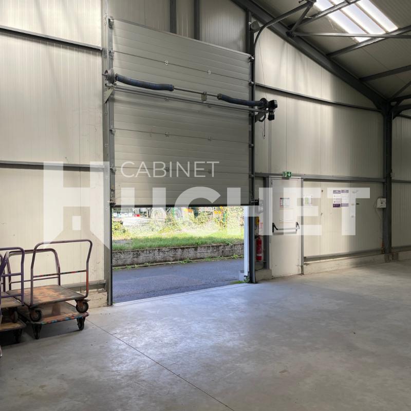 Local d'activité / Entrepôt - 1 180 m²