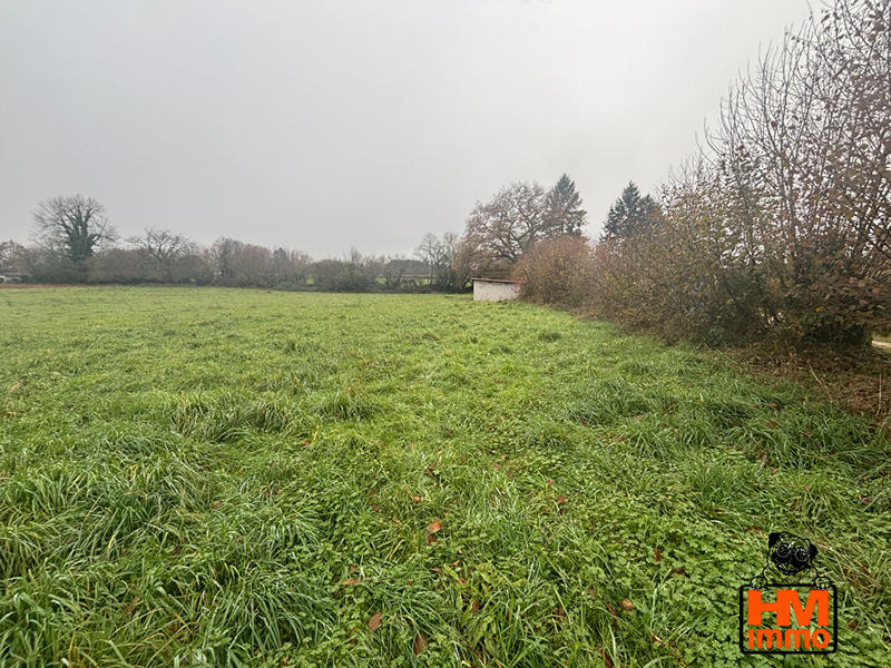 Terrain - 12 000 m²