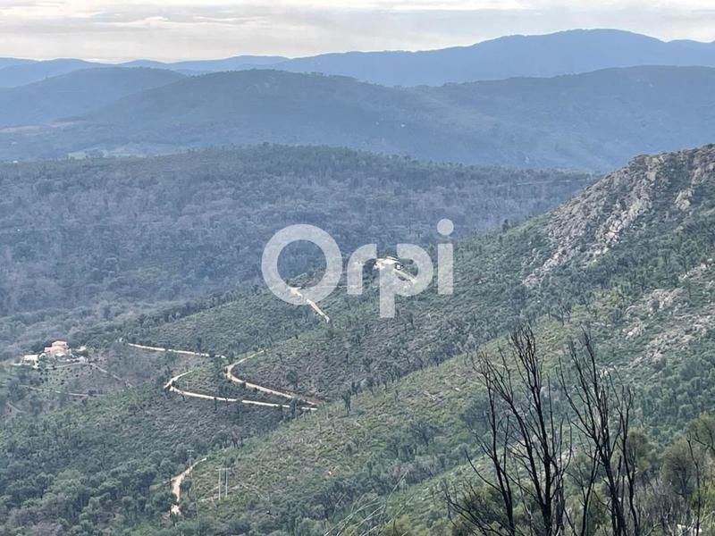 Terrain - 120 000 m²