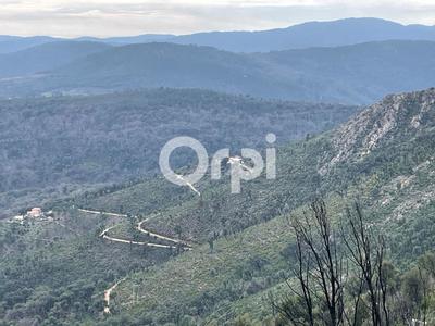 Terrain - 120 000 m²