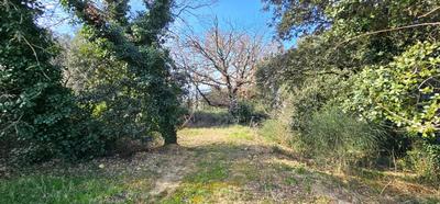 Terrain constructible - 1 309 m²