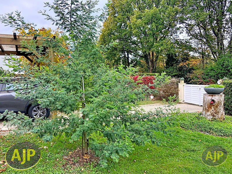 Maison - 120 m² - 7 pièces