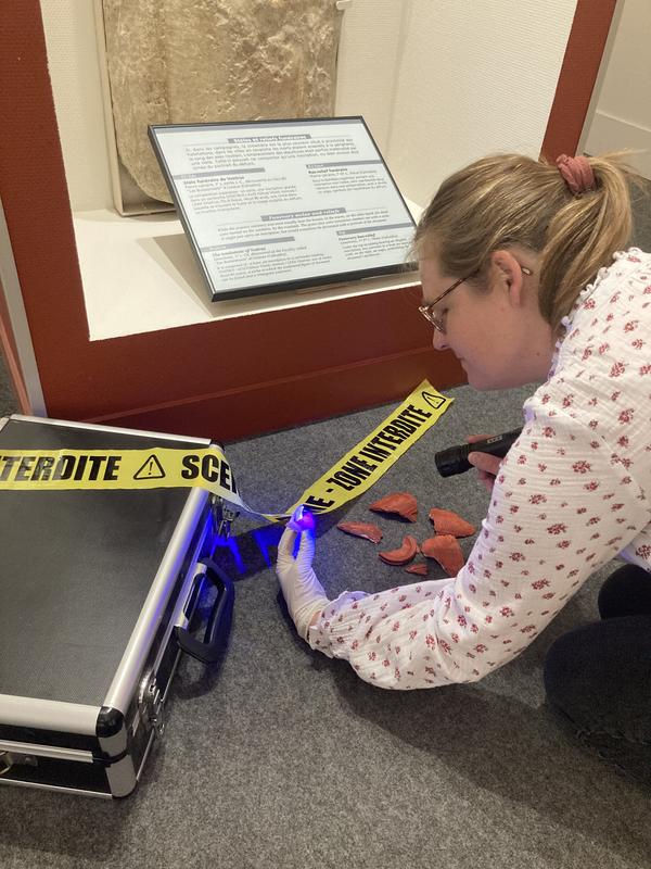 Les Étonnants Patrimoines : Mystère au musée