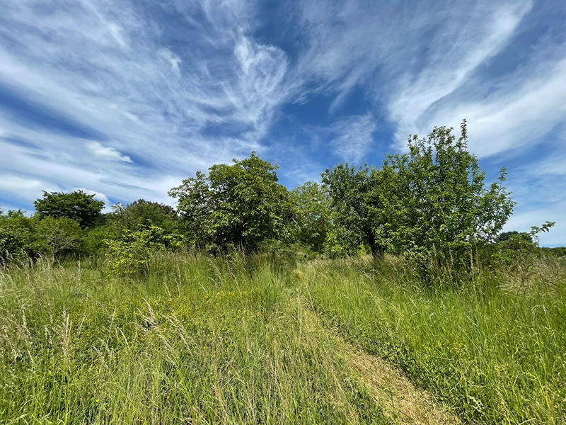 Longère - 66 m² - 3 pièces