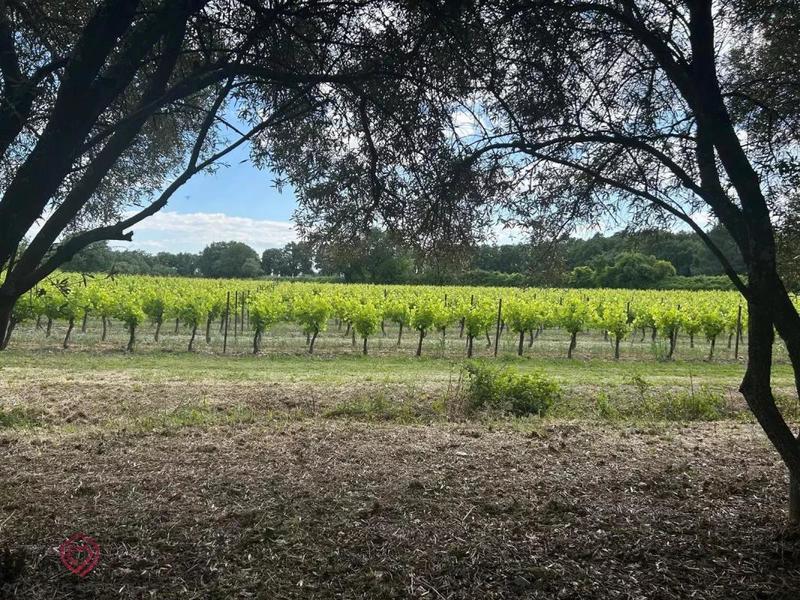 Demeure - 224 m² - 7 pièces