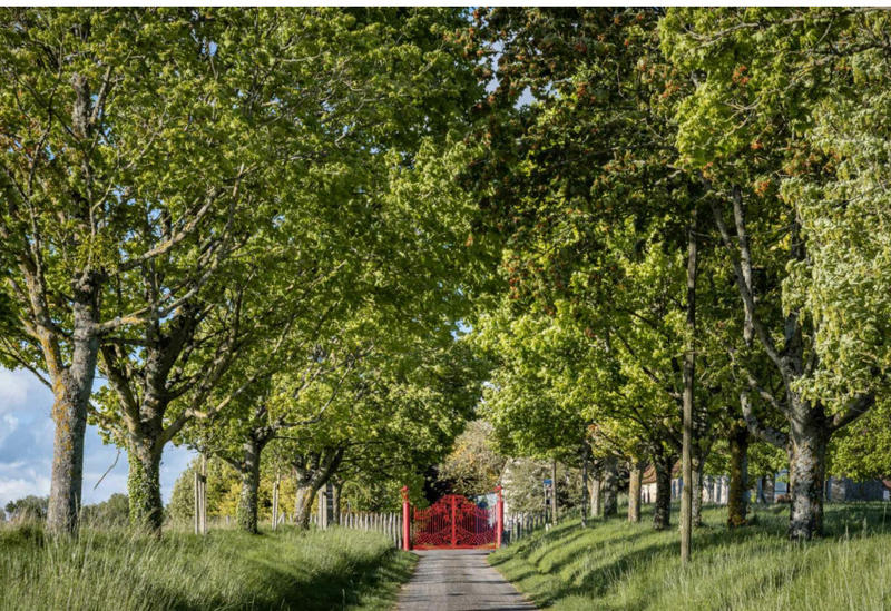 Château - 667 m² - 10 pièces