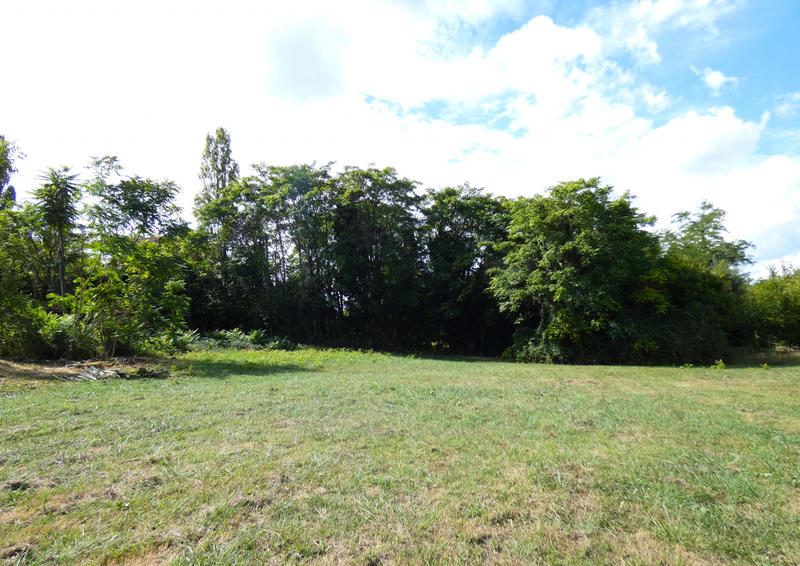Terrain - 1 196 m²