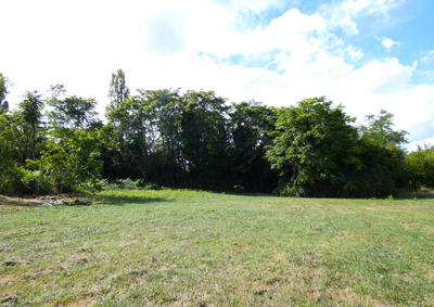 Terrain - 1 196 m²