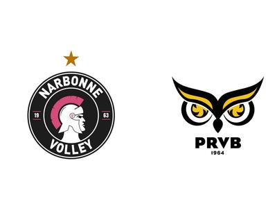 Volley-Ball : Narbonne Volley / Plessis Robinson