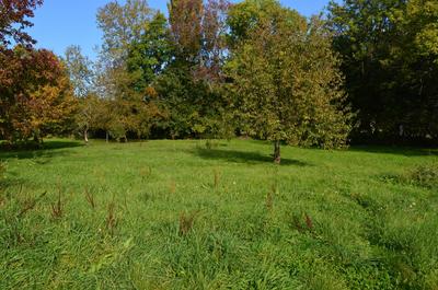 Maison - 131 m² - 5 pièces