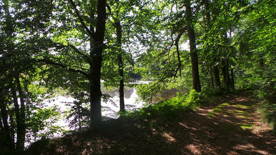 Terrain - 50 000 m²