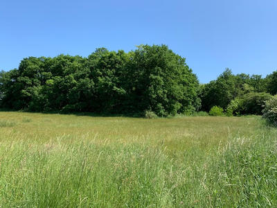 Terrain - 1 675 m²