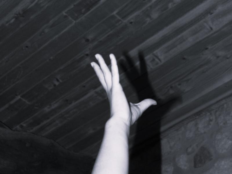 Escape game à Terres d'Oiseaux