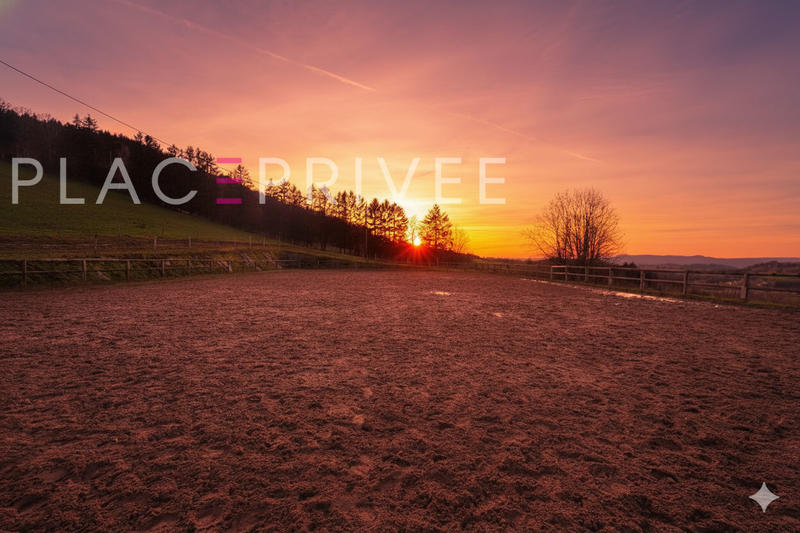 Maison de domaine équestre - 320 m² - 11 pièces