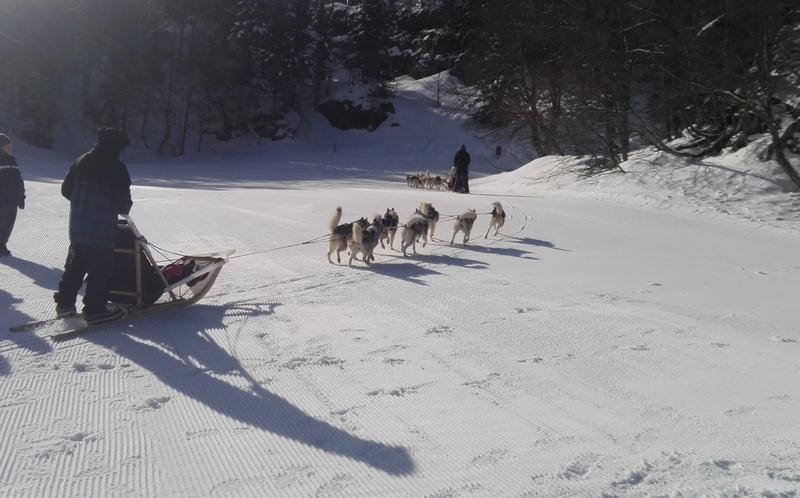 Journée des enfants trappeurs