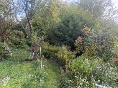 Maison ancienne - 85 m² - 5 pièces