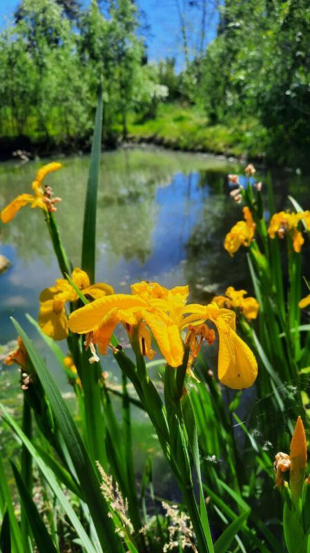 Maison - 123 m² - 5 pièces