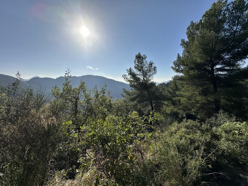 Terrain de loisirs - 6 839 m²