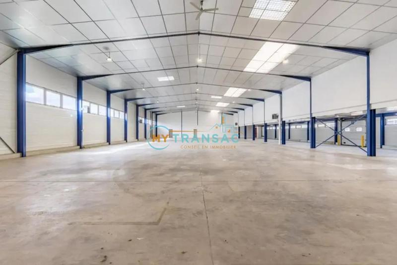 Local d'activité / Entrepôt - 2 361 m²