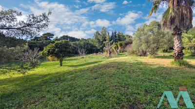 Maison - 172 m² - 7 pièces