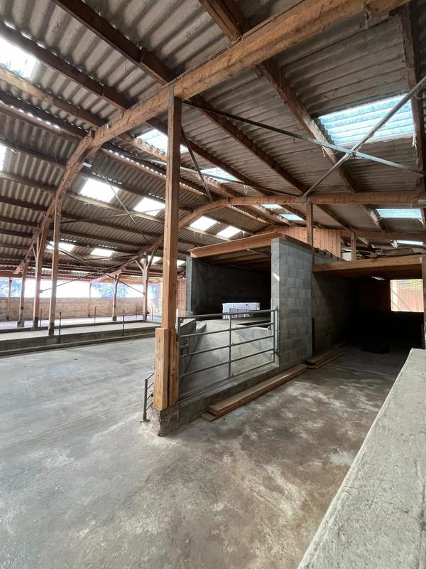 Local commercial - 550 m²