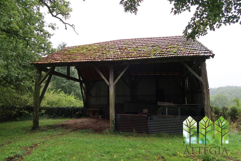 Maison - 261 m² - 14 pièces