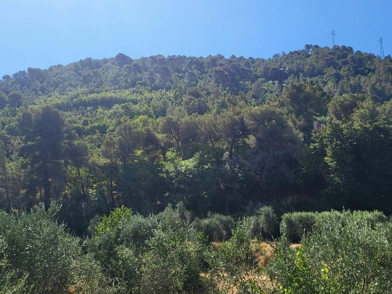 Terrain - 16 415 m²