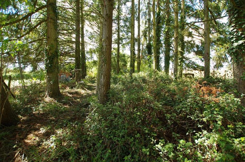 Terrain de loisirs - 2 663 m²