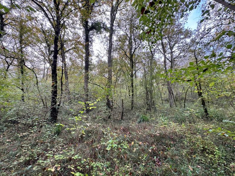 Terrain - 82 016 m²