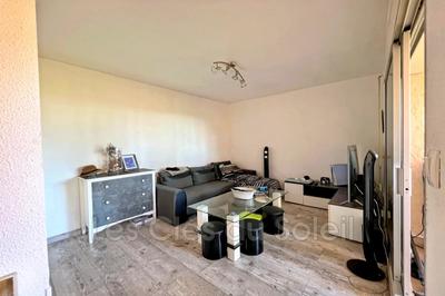 Studio - 24 m² - 1 pièce