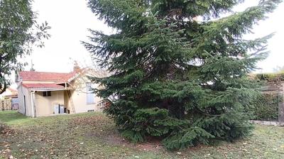 Maison - 35 m² - 2 pièces