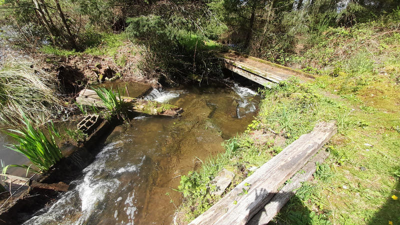 Terrain - 73 256 m²