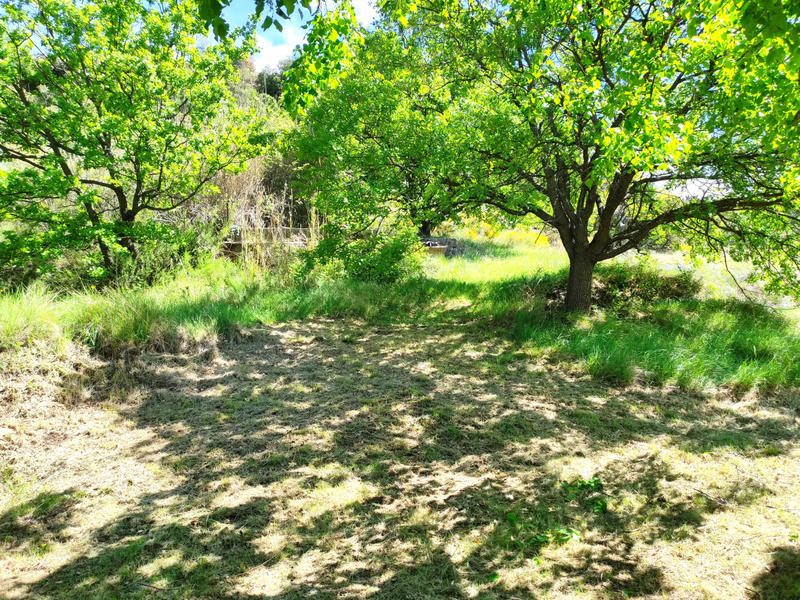 Ferme - 100 m² - 5 pièces