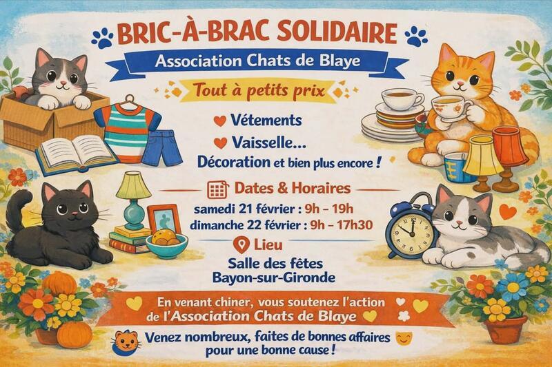 Bric à brac des chats de blaye