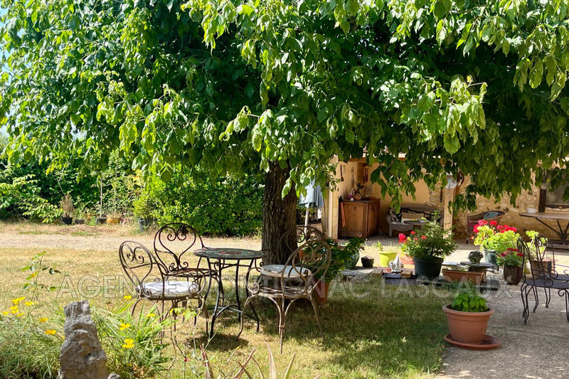 Maison chambre d'hôtes - 257 m²