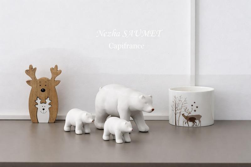 Duplex - 49 m² - 2 pièces