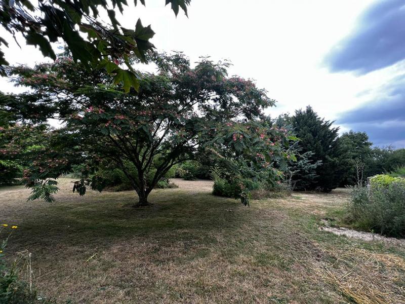 Maison ancienne - 195 m² - 7 pièces