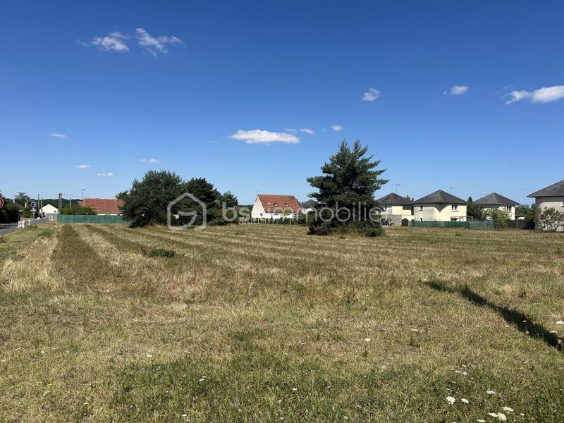 Terrain - 1 230 m²