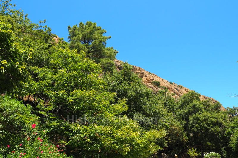 Maison - 300 m² - 10 pièces