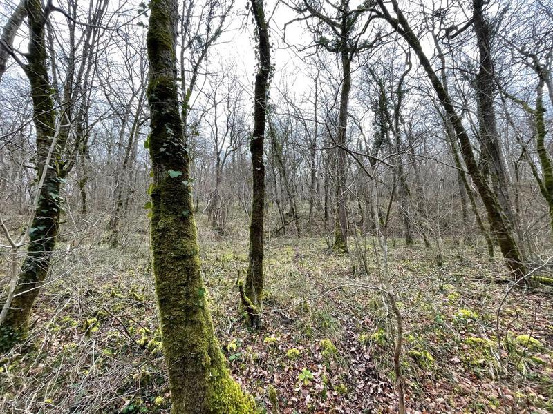 Terrain - 82 016 m²